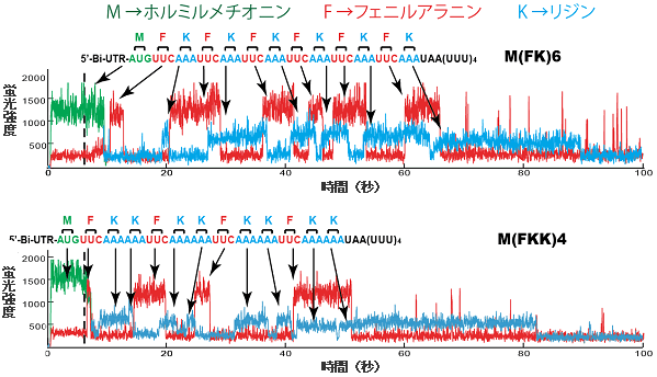 図３