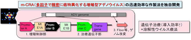 図２