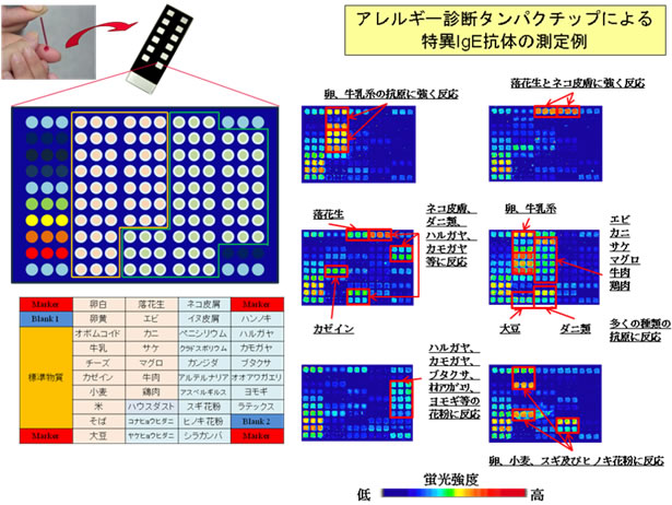 図４