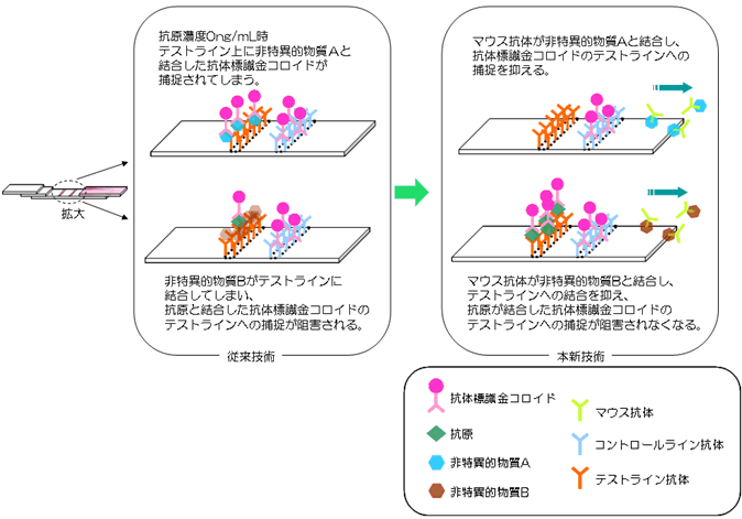 図２