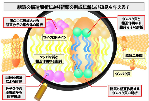 概要図