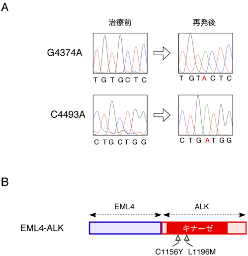 図２