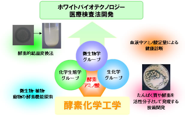 概要図