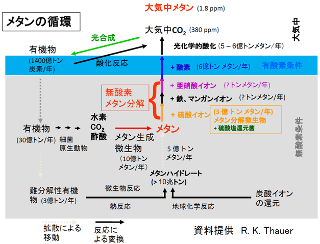 図１