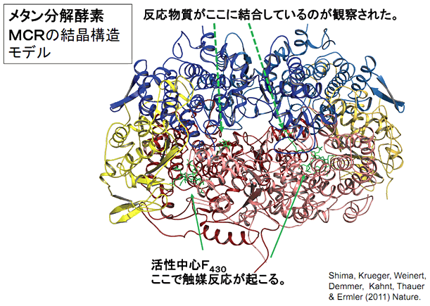 図４