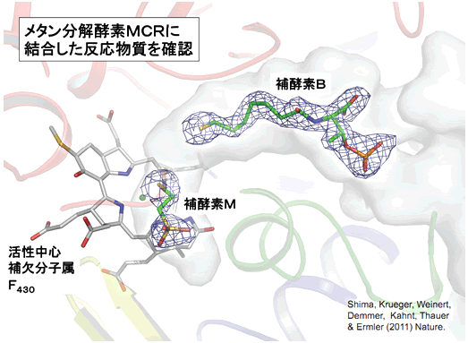 図５