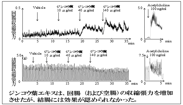 図４