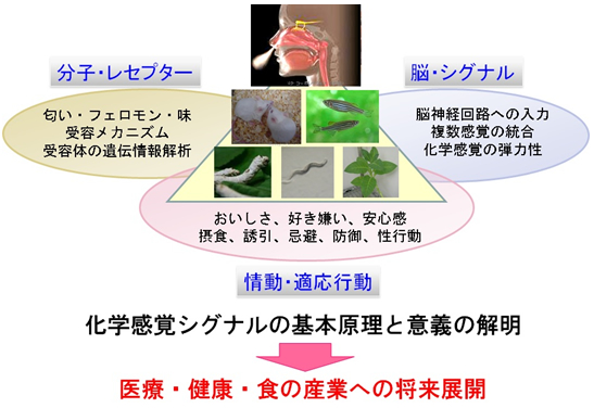 概要図