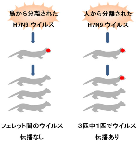 図２