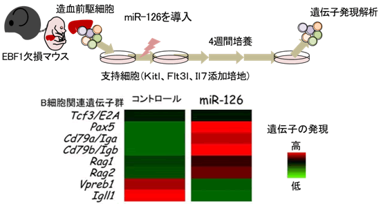 図３