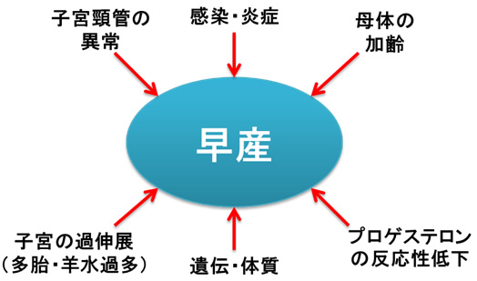 図１