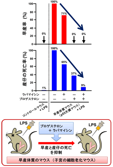 図３