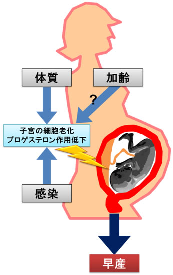 図６