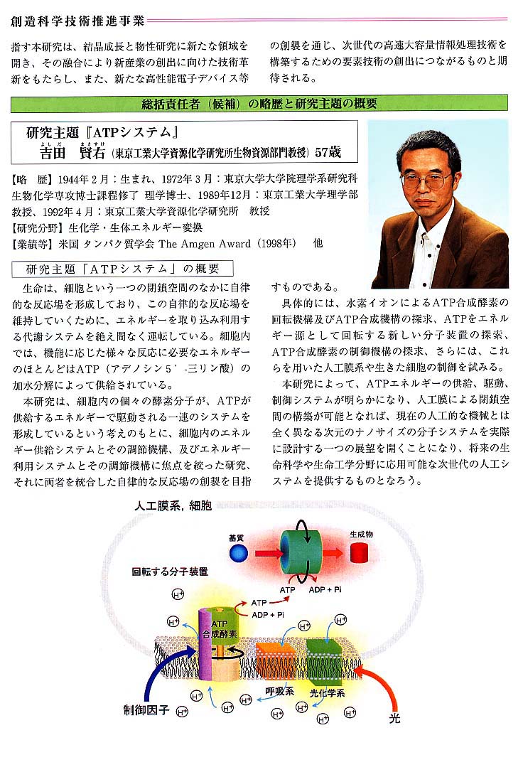 page8.jpg