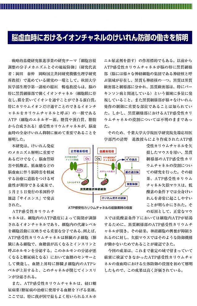page7.jpg