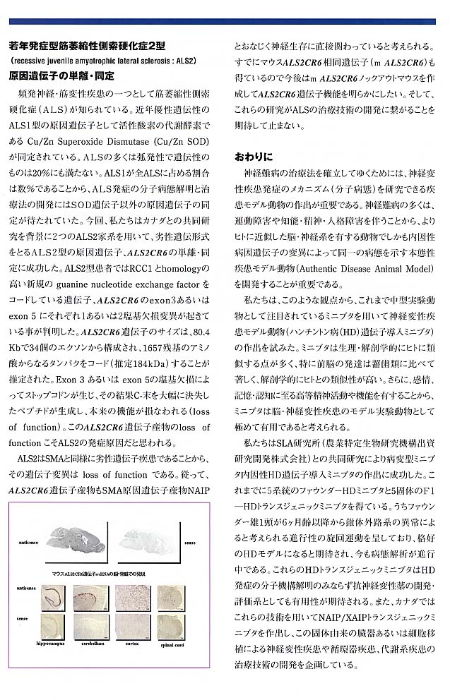 page4.jpg