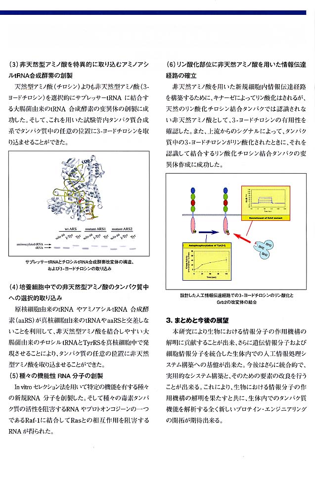 page3.jpg