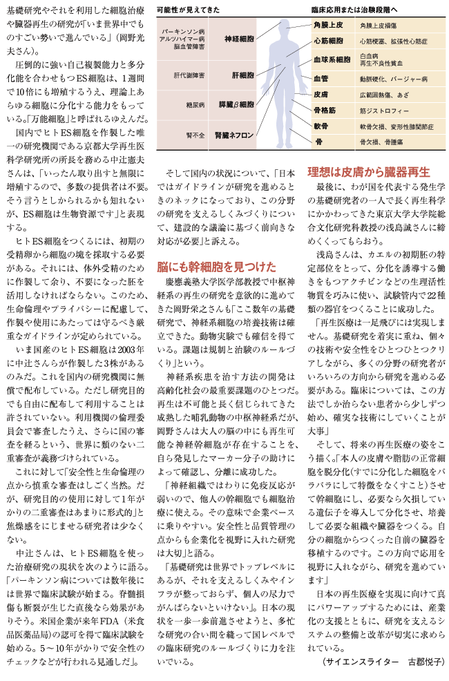 日本の再生医療のいま、これから 世界水準の研究、実現へのハードルは