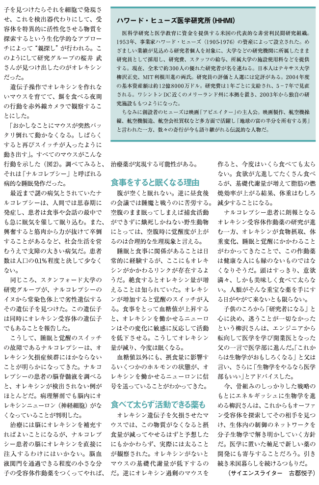 睡眠と食欲の深い関係