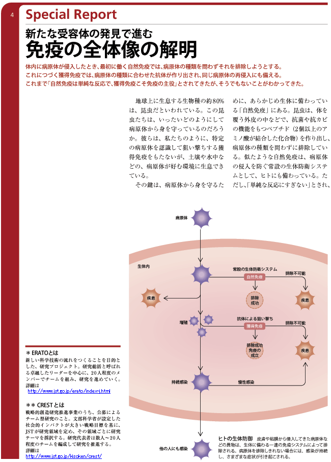 免疫の全体像の解明