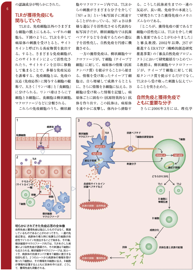免疫の全体像の解明