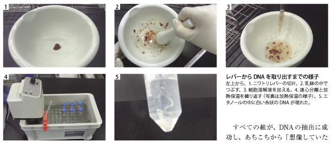 自ら体験して科学を楽しむ