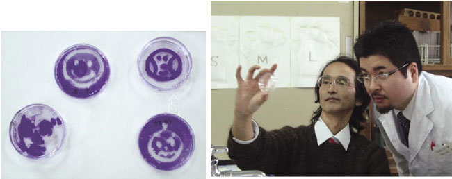 理科も数学もずっと面白くなる