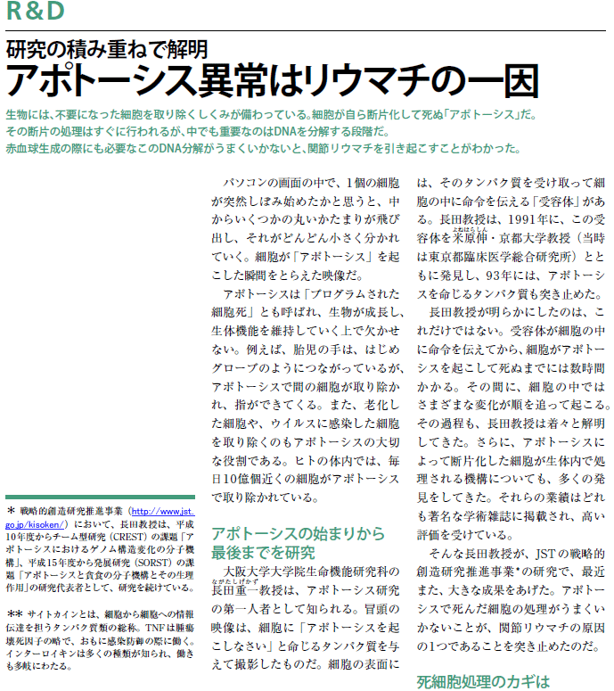 研究の積み重ねで解明 アポトーシス異常はリウマチの一因