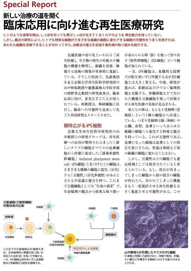 臨床応用に向け進む再生医療研究