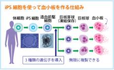 明日へのトビラ