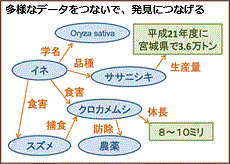 特集2写真