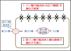 NEWS & TOPICSの写真