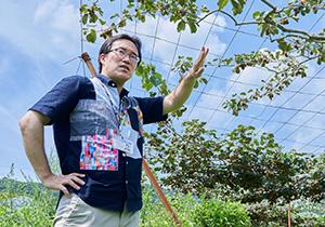 100年に及ぶ植物の性の謎 解き明かし農業に生かす