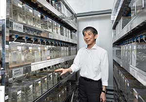 細胞内の物質を分解し栄養をリサイクル オートファジーの役割や仕組みを探る