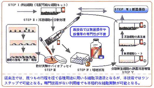 Gakken学研 自由研究おたすけキット Dnaを調べよう Gakken Q750615 教材自立共和国ヤフーショップ 通販 Yahoo ショッピング