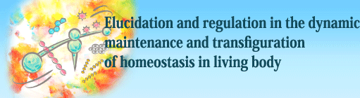 PRESTO“Elucidation and regulation in the dynamic maintenance and transfiguration of homeostasis in living body”
