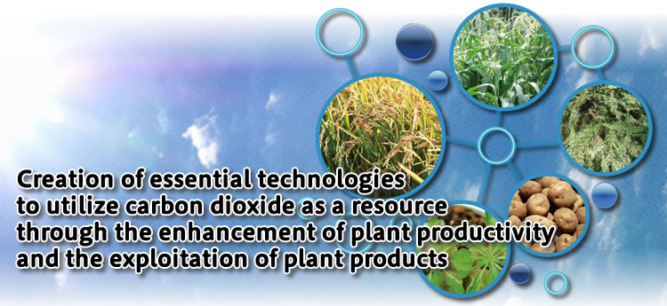 Creation of essential technologies to utilize carbon dioxide as a resource through the enhancement of plant productivity and the exploitation of plant products