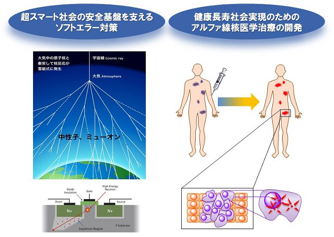 超スマート社会の安全基盤を支えるソフトエラー対策／健康長寿社会実現のためのアルファ線核医学治療の開発