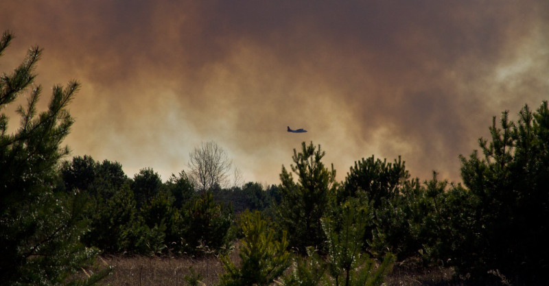 2020年4月に発生したチェルノブイリ付近の森林火災