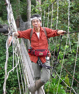 Dr. Hashimoto crossing the suspension bridge hanging between trees at 30 meters from the ground level.