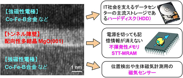 図2 本発明のMgOトンネル磁気抵抗素子と様々な産業応用
