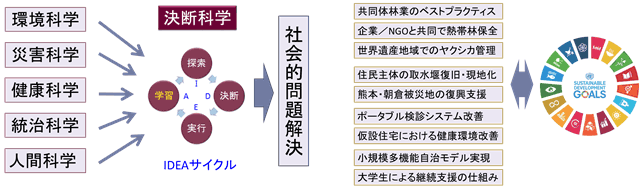 研究の全体像