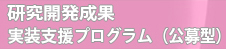 研究開発成果実装支援プログラム（公募型）