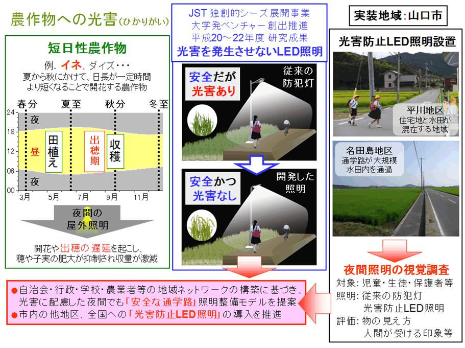 高齢者ドライバーの図