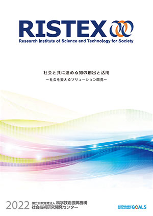 RISTEXパンフレット（日本語版）