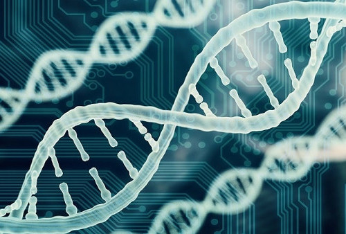 DNAのイメージ画像