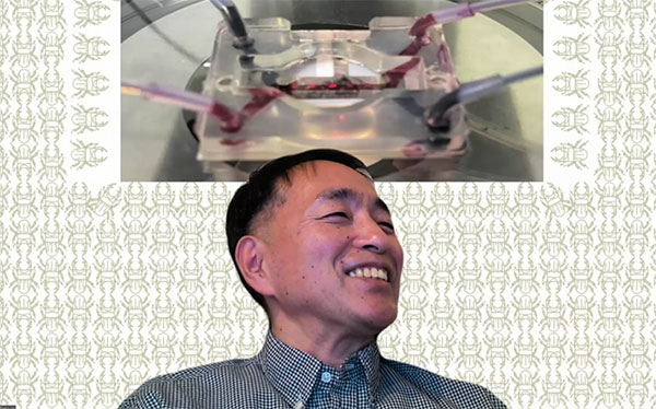 写真：田川陽一准教授