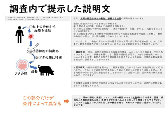 スライド：調査内で提示した説明文