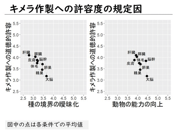 スライド：キメラ作製への許容度の規定因