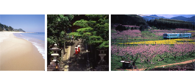 京丹後市海岸 京丹後市神社 京丹後市花畑